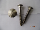 Customized China Fastener Carriage Bolts