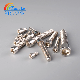  304 Stainless Steel Flat Head Core Screw Fastener for Aluminium Profile Accessories