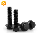  Grade 10.9 Black Oxside Carbon Steel Hex Head Flange Bolt with Full Thread