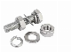  Factory Stock Custom Stainless Steel Nuts Bolts, Zinc Plating Steel Fasteners