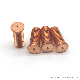 Brass Copper Round Head Spot Welding Screw / Bolt