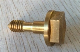 316ss Penta Bolt Brass Penta Bolt