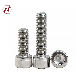 Customized Hex Socket Head Bolt A2-70 Allen Screw 304 Scoket Bolt A2 Socket Bolt Hardware