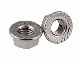 Hexagon Nut/Flange Nut/Cap Nut with Toothed Anti-Skid Flange DIN6923