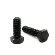 DIN933/DIN931 8.8 Gade Black Oxide Hex Head Bolt with Nut