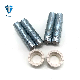  ISO 13918 Rd Zinc Plated Arc Stud Welding Threaded Stud with Reduced Shaft