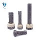 ISO13918 Type SD Arc Studs Welding Shear Connector Weld Stud with Ceramic Ferrules