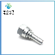 OEM Factory Price Maledegree Stainless Steel Hydraulic Fitting Elbow Pipe Fitting Reducer Pipe Fitting Hydraulic Tube Fitting