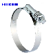  12.7mm China Manufacturer of European Style Big American Type Hose Clamp Factory Use W4 Stainless Steel