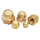 DIN 1587 Hex Domed Cap Nuts Brass Hex Acorn Nut