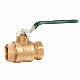  Brass Ball Valves Bronze Fip X Fip for American Market