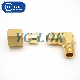 Brass Ferrules and Hose Barbs Brass Hydraulic Tube Fittings