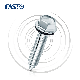 Hex Washer Head DIN6928 Self Tapping Screw