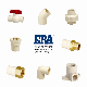  Era Plastic/CPVC/Pressure Pipe Fittings ASTM D2846 CPVC Valves with Good Price