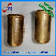 OEM Bushing Type Pipe Coupling