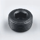  Hexagon Socket Plug Stainless Steel Hydraulic Oil Plug with Auto Parts and Hardware