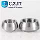 3000# 3/4" DN20 Female Carbon Steel Forged Fittings Threadolet