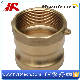 Brass Camlock Coupling Pipe Fitting Couplings