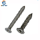 Stainless Steel Cross Recessed Countersunk Head/Csk Self Tapping Screw Fastener Machine Screw