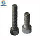 DIN912 Stainless Steel Hex Socket Cup Head Machine Screw/Allen Screw manufacturer