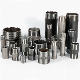 Carbon/Stainless Steel Galvanized/Black NPT Thread Threaded Pipe Nipple/Barrel Nipple/Hose Nipple