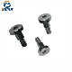 Custom Bolt Screw/Special Screw/Stainless Steel Ss316 Shoulder Bolt/Screw manufacturer