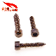  Factory Manufacturer Hexagon Socket Cap Wood Screw