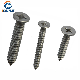  Csk Head Stainless Steel Self Tapping Screw