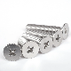  A2-70 Stainless Steel Tapping Drilling Machine Hex Hexagon Grub Socket Set Screw Drilling Tapping Hex Pan Flat Head Phillips Countersunk Machine Screw