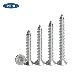 Stainless Steel Cross Recessed Flat Countersunk Head Self Tapping Chipboard Screw