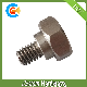 DIN/ANSI/BS/JIS/Customized Stainless Steel Hexagon Socket Head Cap Screw for Faucet/Roofing/Machine