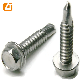 Customize Steel Phosphated Hex Head Self Drilling Screw