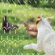 Cheap Price Chicken Rabbit Cage Coop Fence Wire Mesh Rolls Hexagonal Wire Mesh Netting Mesh Made in China