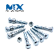  High Quality C50lr Zinc Plated Button Head Huck Bolt and Nut Anchor Bolt