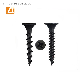  Countersunk Head Cross Slot Screw/ Chipbord Screw/Drywall Screws