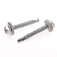 M6*43 White Zinc-Plated Carbon Steel Phillips/Crosss Indented Hexagon Washer/Flange Head Self Drilling Sem/Combination Screw