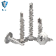  Furniture Screw SUS 410 Cross Truss Head Self Drilling Screw with Polishing Surface Treatments