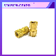  High Quality Brass Bolts Copper Nut Knurled Insert Bolts