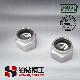 DIN 982 Prevailing Torque Type Hexagon Thick Nuts with Non-Metallic Insert