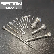  China Stainless Steel Screw/Drywall Tapping Screw/Self Drilling Screw/Wood Screw/Decking Screw with Type 17 Cutting/Machine Screw/Hex Head Hex Socket Cap Screw