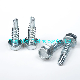  DIN571 China Manufacturer Carbon Steel/Stainless Steel Zinc Plated/Nickle Self Drilling Roofing Screws/Self-Tapping Screw with PVC/EPDM Washer Hex Head Screws