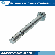 Fastener Factory M6 M8 10 M12 M16 Sleeve Anchor with Flange Nut with Galvanised Finish Treatment