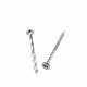  Nail Screw with Zinc Plated 4.5X72 More Than 10 Years Produce Experience Factory
