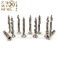 Xinruifeng Fasteners Nickel Plating Countersunk Head Self Tapping Screws