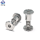  Stainless Steel Wood Furniture Book Leather Rivet Torx Pin Chicago Male Female Screw