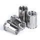 Stainless Steel Carbon Steel Flat Head Round Body Through Hole Rivet Nut with Knurling