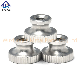  High Quality Hot Sale Stainless Steel Carbon Steel Knurled Thumb Nuts