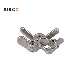 Stainless Steel Fastener DIN315 304/316 A2 A4 Customed Manufacturer M16 Wing/Hex/Dome/Cap/Flange/Lock Nut