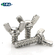  Carbon Steel Galvanized / Stainless Steel Toggle Wing Bolt