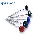 Umbrella Head Roofing Nails/Iron Nail/Steel Nail/Coil Nail/Galvanized Roofing Nail